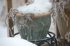 flower pot ice